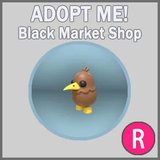 Kiwi R