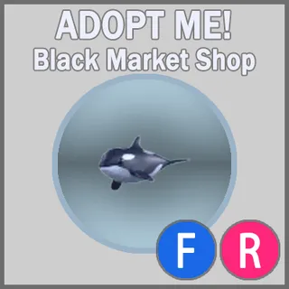 Orca FR