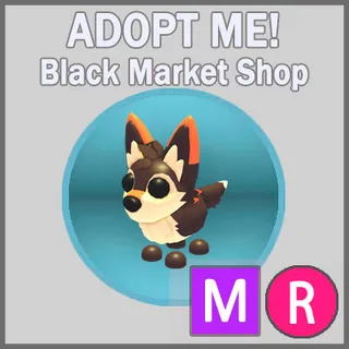 Mexican Wolf MR