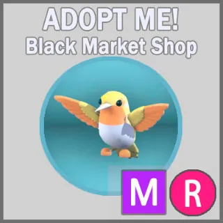 Golden Hummingbird MR