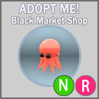 Octopus NR