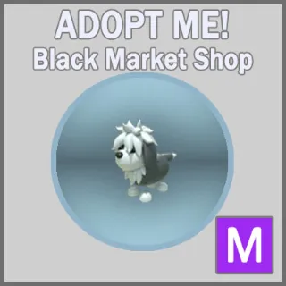 English Sheepdog M