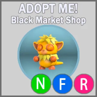 Island Tarsier NFR