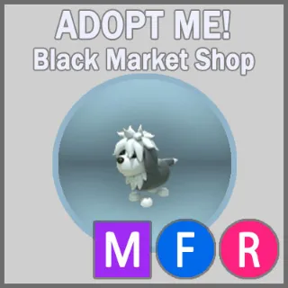 English Sheepdog MFR