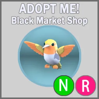 Golden Hummingbird NR