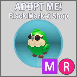 Kakapo MR