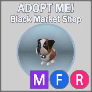St Bernard MFR