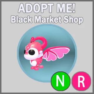 Cupid Dragon NR