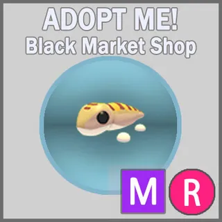Sandfish MR