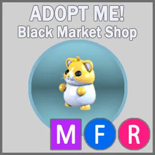 Golden Hamster MFR