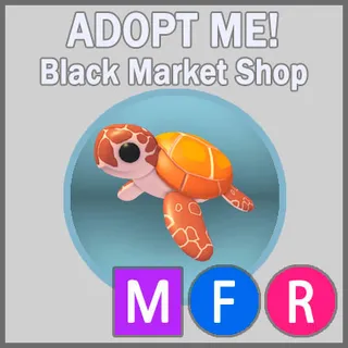 Sea Turtle MFR
