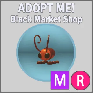 Cockroach MR