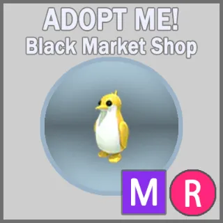 Golden King Penguin MR