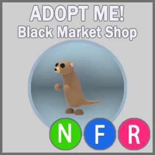 Meerkat NFR