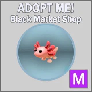 Axolotl MR