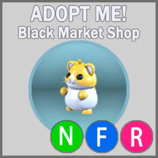 Golden Hamster NFR