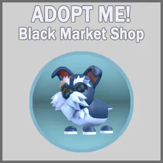Mini Schnauzer