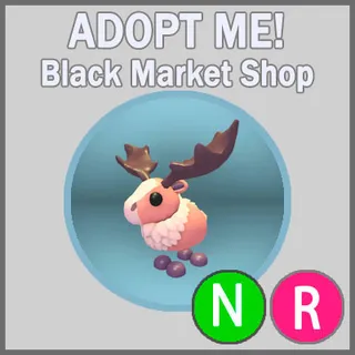 Papa Moose NR
