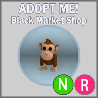 Monkey NR