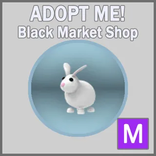 Rabbit M