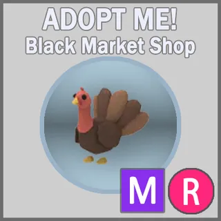 Turkey MR