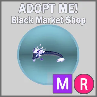 Midnight Dragon MR