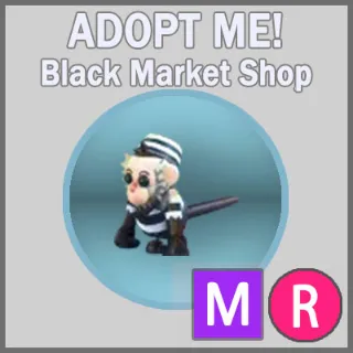 Inmate Capuchin MR