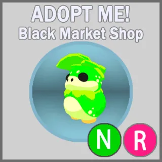 Kappakid NR
