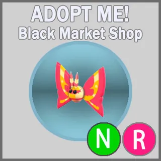 Rosy Maple Moth NR