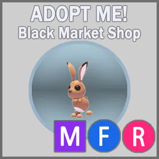 Hare MFR