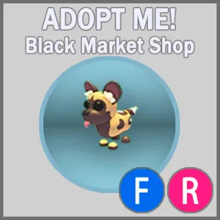 African Wild Dog FR