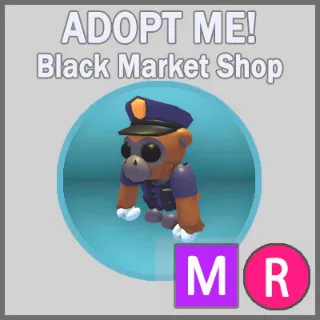 Officer Gibbon MR