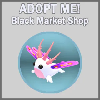 Sea Slug