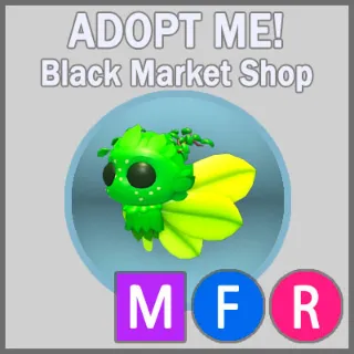 Gaelic Fae MFR