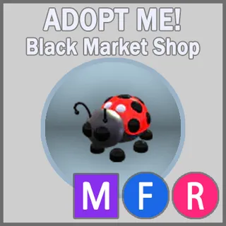 Ladybug MFR