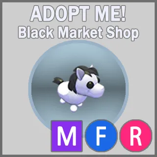 Shetland Pony White MFR