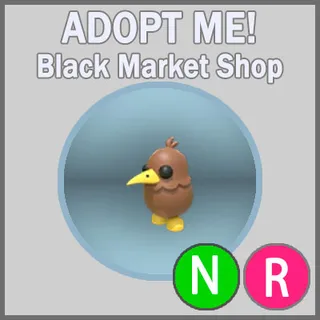 Kiwi NR