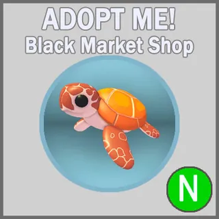 Sea Turtle N