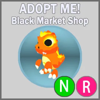 Scorching Kaijunior NR