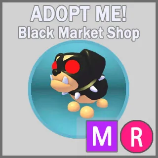 The Black Dog MR