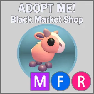 Moose Calf MFR