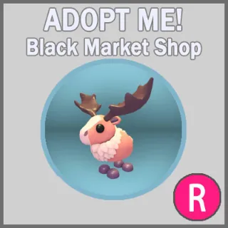 Papa Moose R