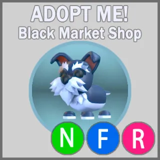 Mini Schnauzer NFR