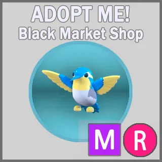 Diamond Hummingbird MR