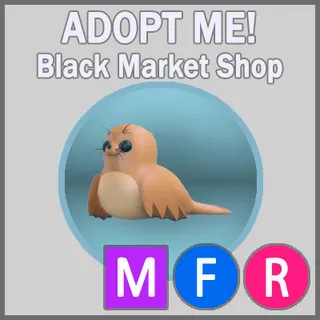 Galapagos Sea Lion MFR