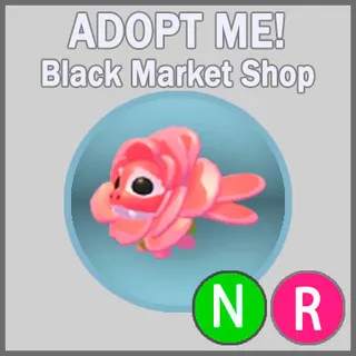 Rose Dragon NR