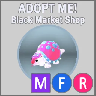 Glyptodon MFR