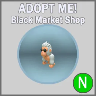 Albino Gorilla N
