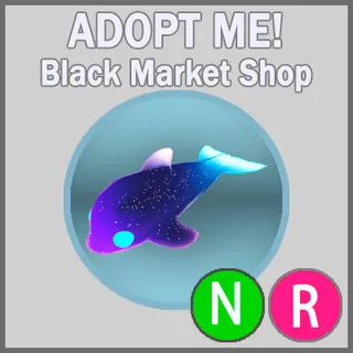 Glormy Dolphin NR