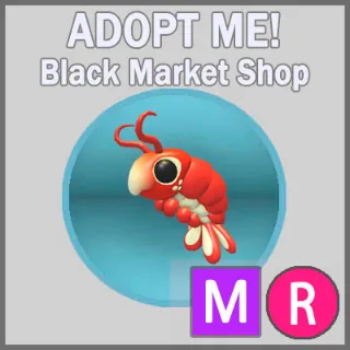 Emperor Shrimp MR